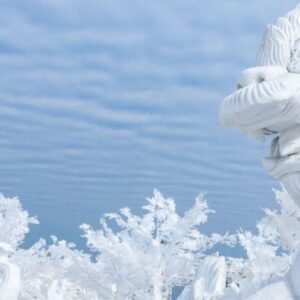 Magical ice of Siam