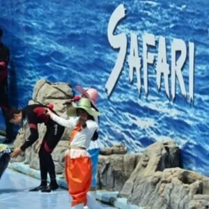 Safari World & Marine Park Bangkok with Lunch