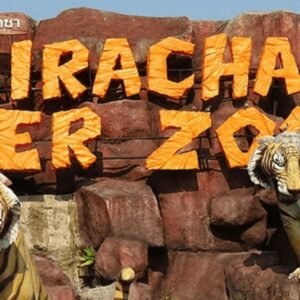 Tiger Topia Sriracha Zoo